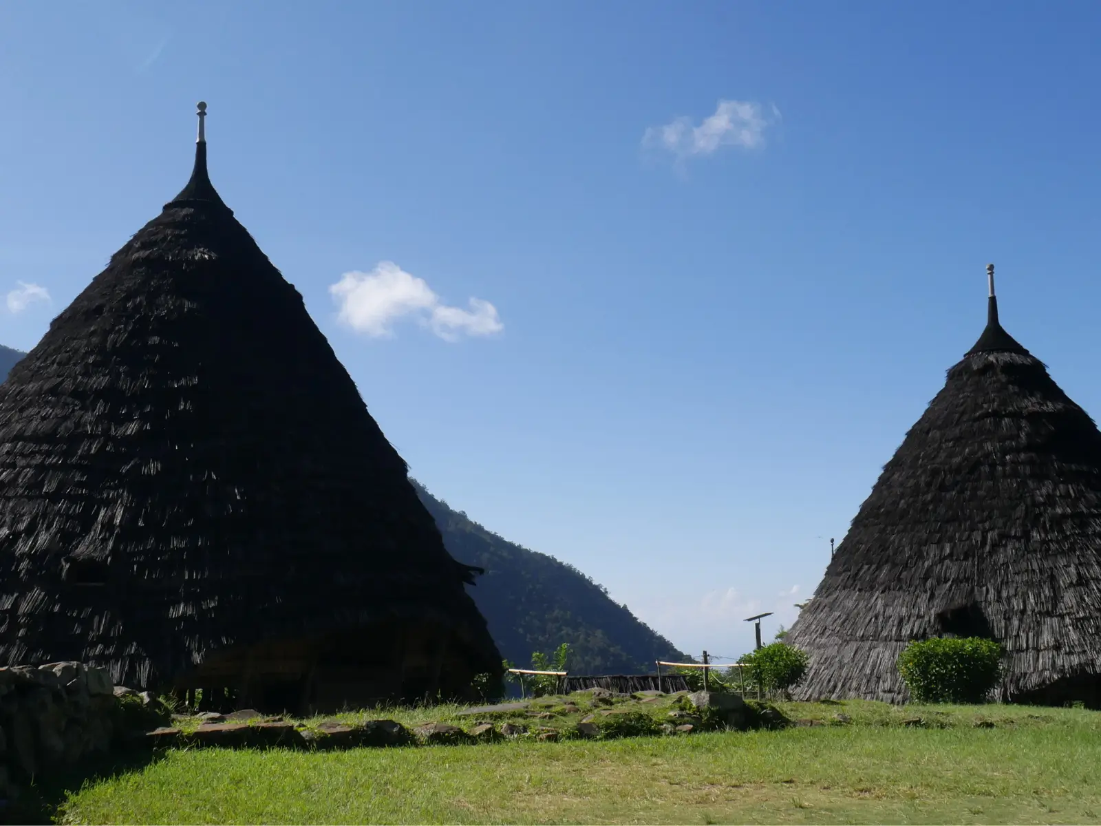 Conical thatched houses of Wae Rebo village among the mountains of Flores