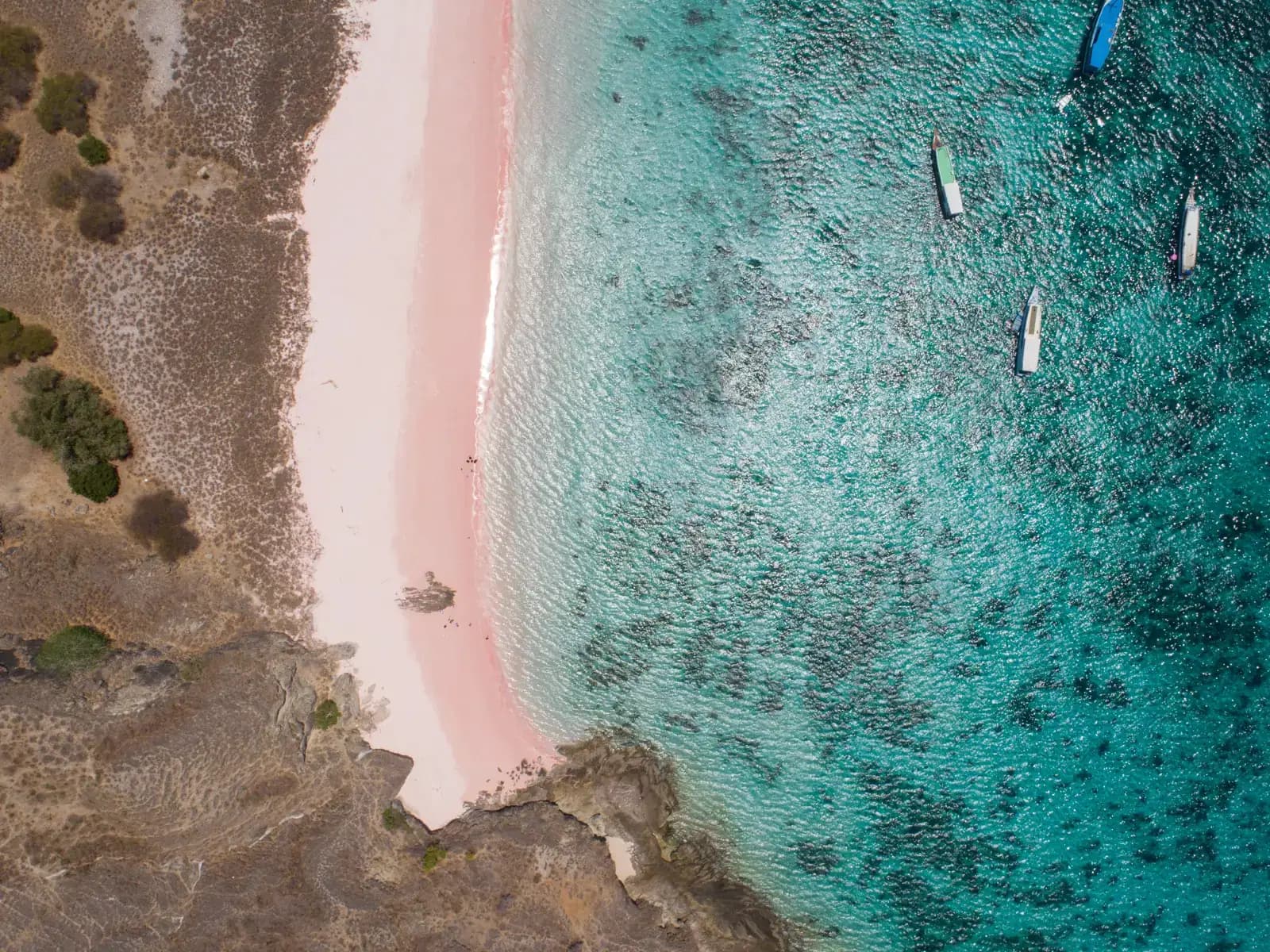 Pink Beach in Komodo National Park